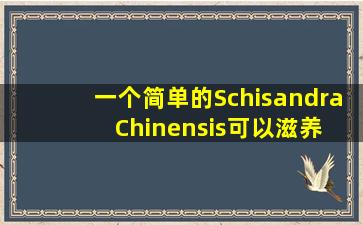 一个简单的Schisandra  Chinensis可以滋养肝脏，心脏，脾脏，肺和肾脏。来学习